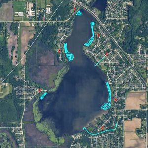 Camp Lake treatment map