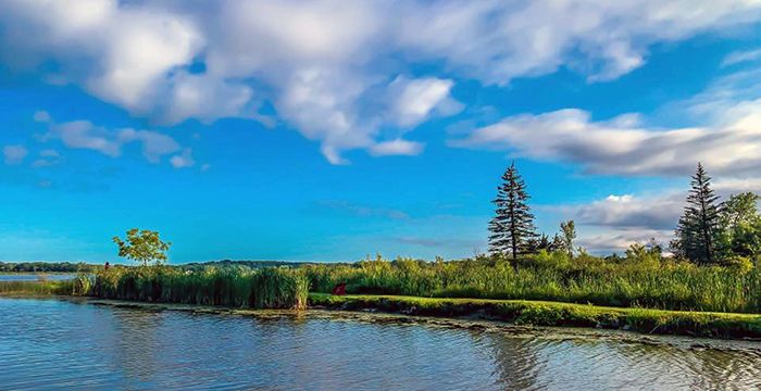 Vibrant Shoreline on Camp & Center Lakes